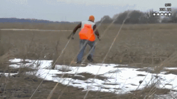 pheasant-hunt-giphy